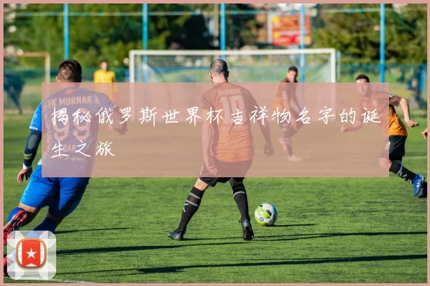揭秘俄罗斯世界杯吉祥物名字的诞生之旅