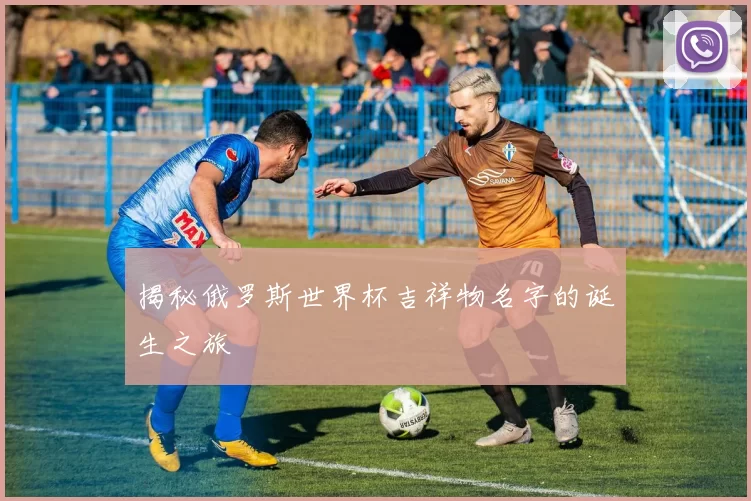 揭秘俄罗斯世界杯吉祥物名字的诞生之旅