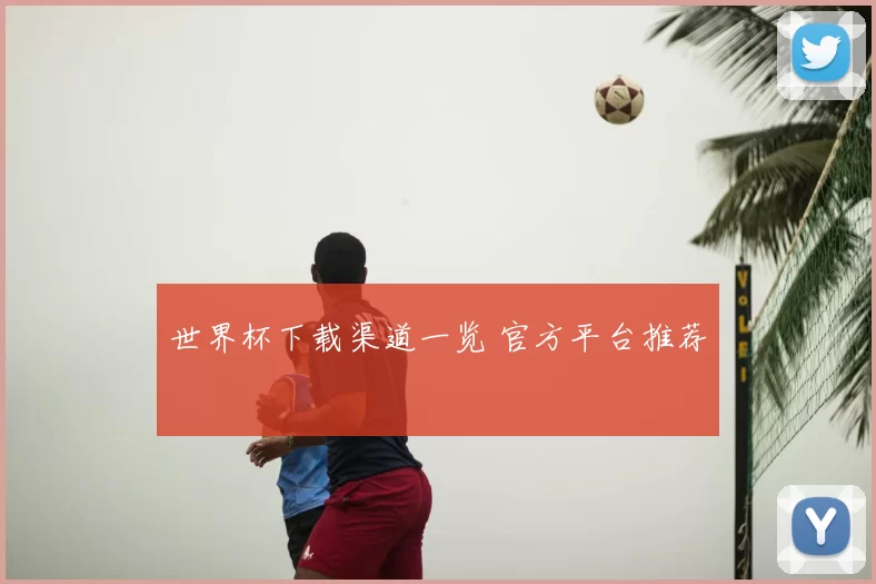 世界杯下载渠道一览 官方平台推荐
