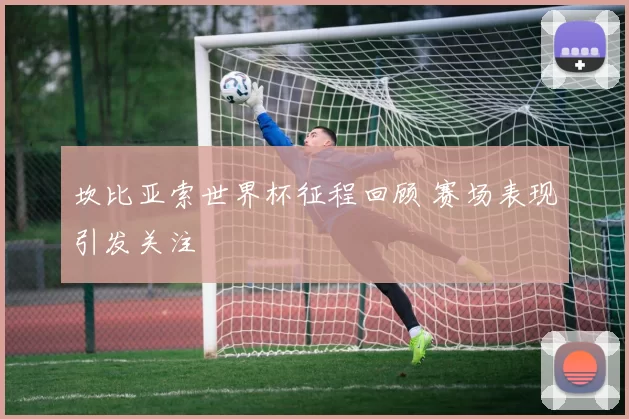 坎比亚索世界杯征程回顾 赛场表现引发关注