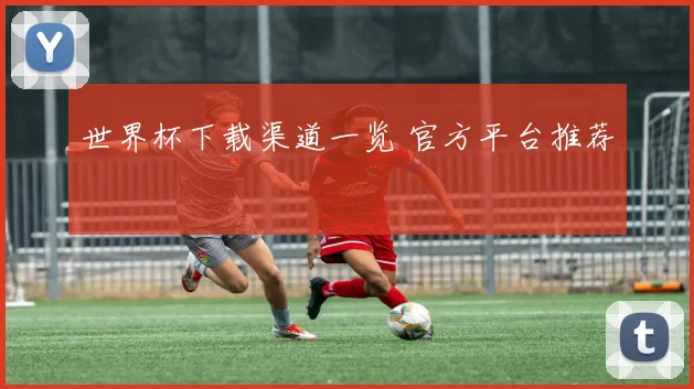 世界杯下载渠道一览 官方平台推荐