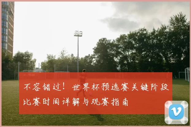 不容错过!世界杯预选赛关键阶段比赛时间详解与观赛指南