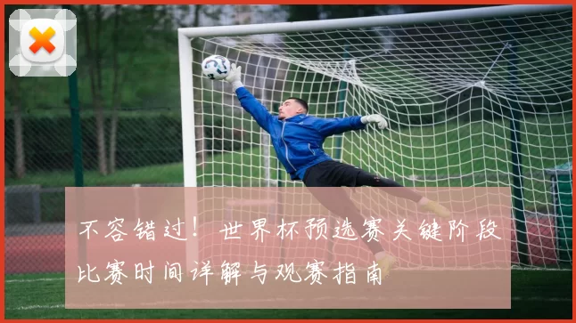 不容错过!世界杯预选赛关键阶段比赛时间详解与观赛指南