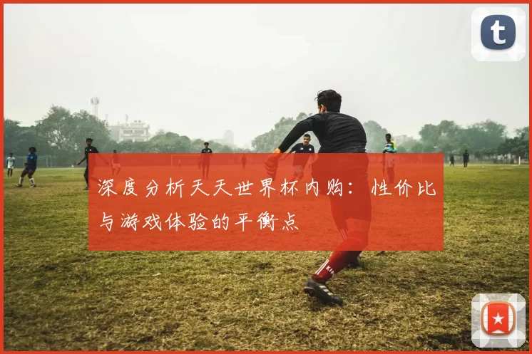 深度分析天天世界杯内购:性价比与游戏体验的平衡点
