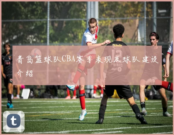 青岛篮球队CBA赛季表现及球队建设介绍