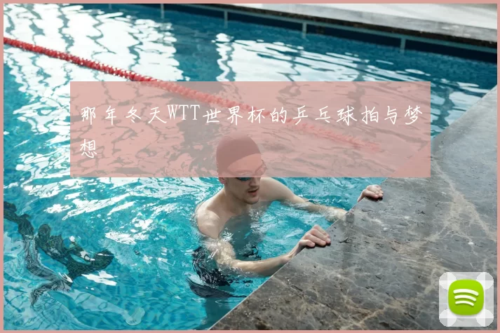 那年冬天WTT世界杯的乒乓球拍与梦想