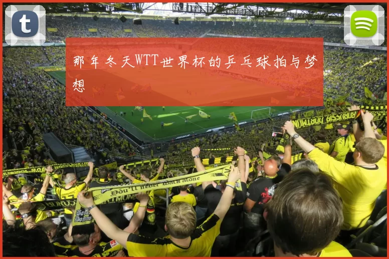 那年冬天WTT世界杯的乒乓球拍与梦想